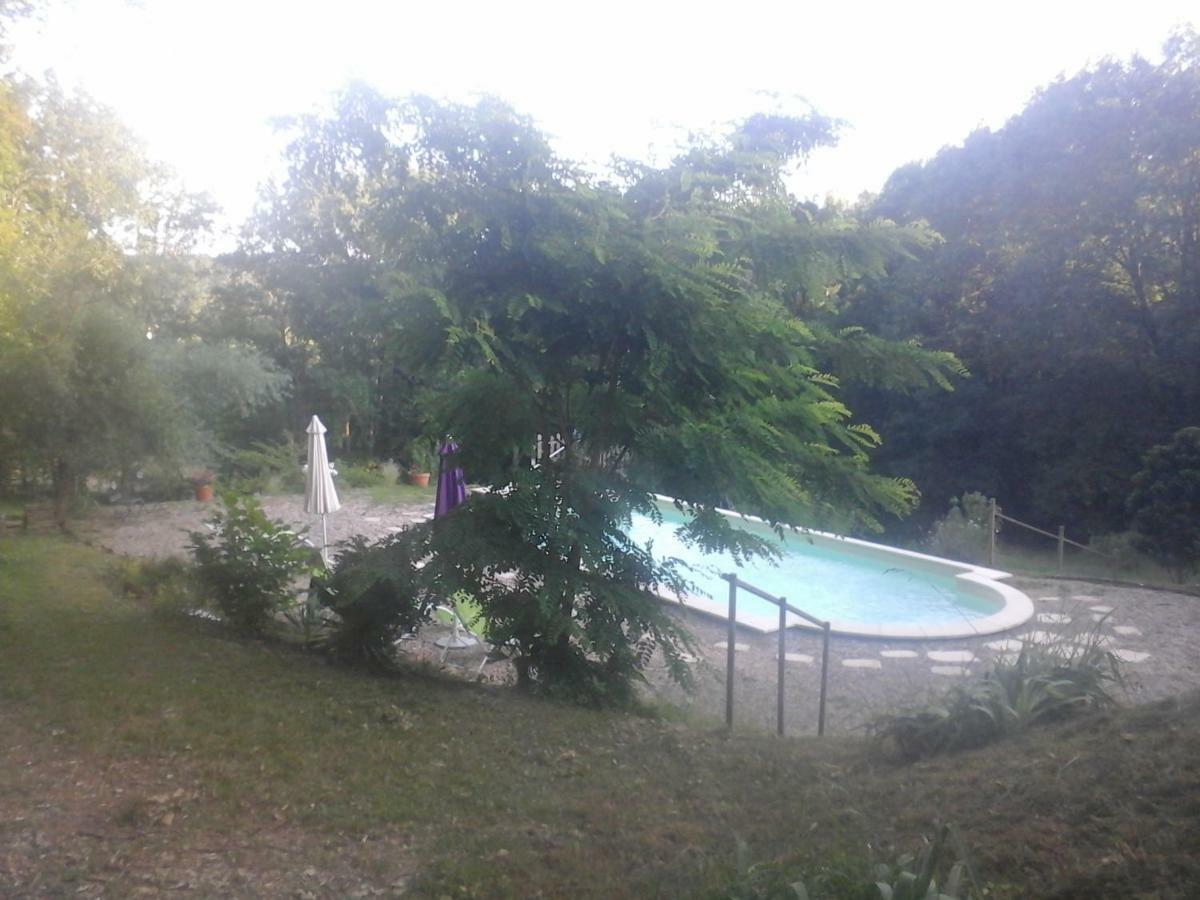 Гостевой дом La Clairiere Сарла-ла-Канеда Экстерьер фото
